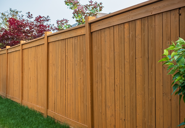 fence 1